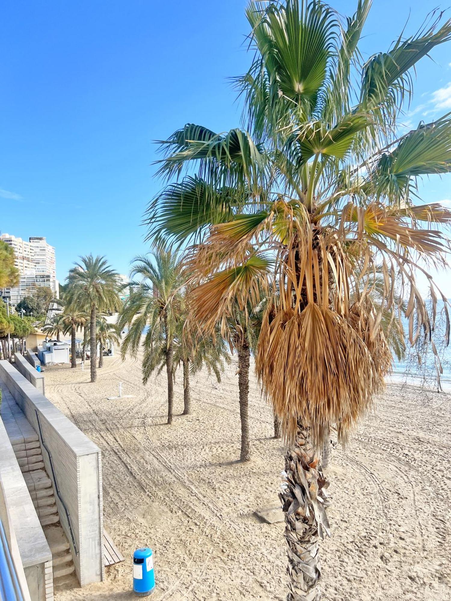 Ferienwohnung A 100 Metros De La Playa. Parking Gratuito Privado Alicante Exterior foto